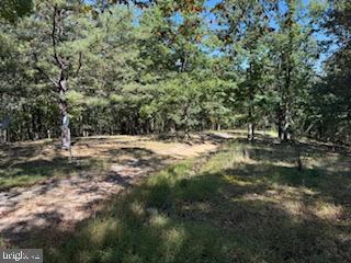 0 Palmer Road Gerrardstown, WV 25420 - Photo 34 of 41 a view of outdoor space with trees