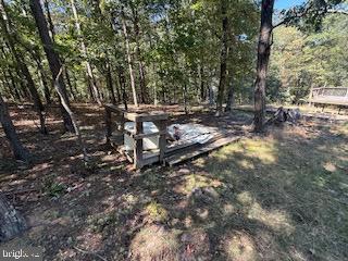 0 Palmer Road Gerrardstown, WV 25420 - Photo 35 of 41 a view of backyard with tree