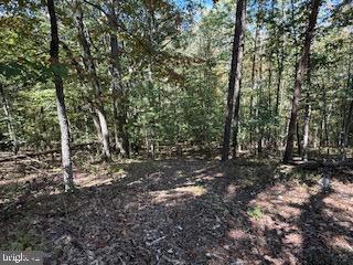 0 Palmer Road Gerrardstown, WV 25420 - Photo 37 of 41 a view of a forest