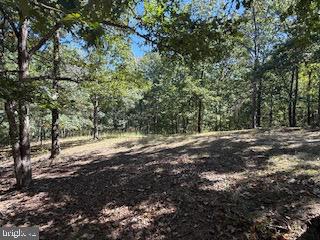 0 Palmer Road Gerrardstown, WV 25420 - Photo 39 of 41 a view of a yard with a tree