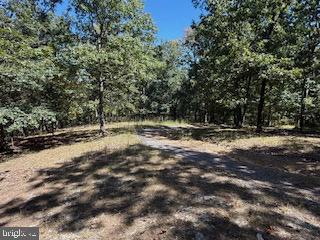 0 Palmer Road Gerrardstown, WV 25420 - Photo 40 of 41 a backyard of a house with lots of green space