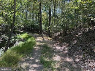 0 Palmer Road Gerrardstown, WV 25420 - Photo 4 of 41 a view of forest