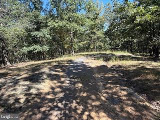 0 Palmer Road Gerrardstown, WV 25420 - Photo 41 of 41 a view of a lake with houses