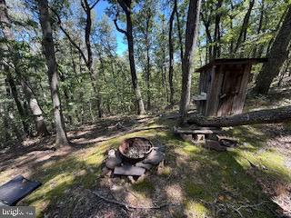 0 Palmer Road Gerrardstown, WV 25420 - Photo 5 of 41 a view of a backyard with water fountain