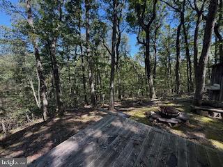 0 Palmer Road Gerrardstown, WV 25420 - Photo 6 of 41 a view of outdoor space with trees
