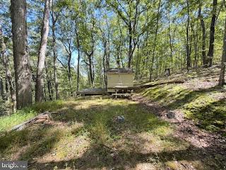 0 Palmer Road Gerrardstown, WV 25420 - Photo 8 of 41 a view of a yard with large trees