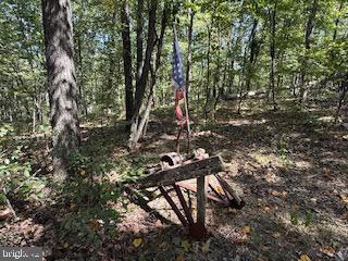 0 Palmer Road Gerrardstown, WV 25420 - Photo 9 of 41 a view of tree