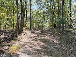 0 Palmer Road Gerrardstown, WV 25420 - Photo 10 of 41 a view of outdoor space and trees