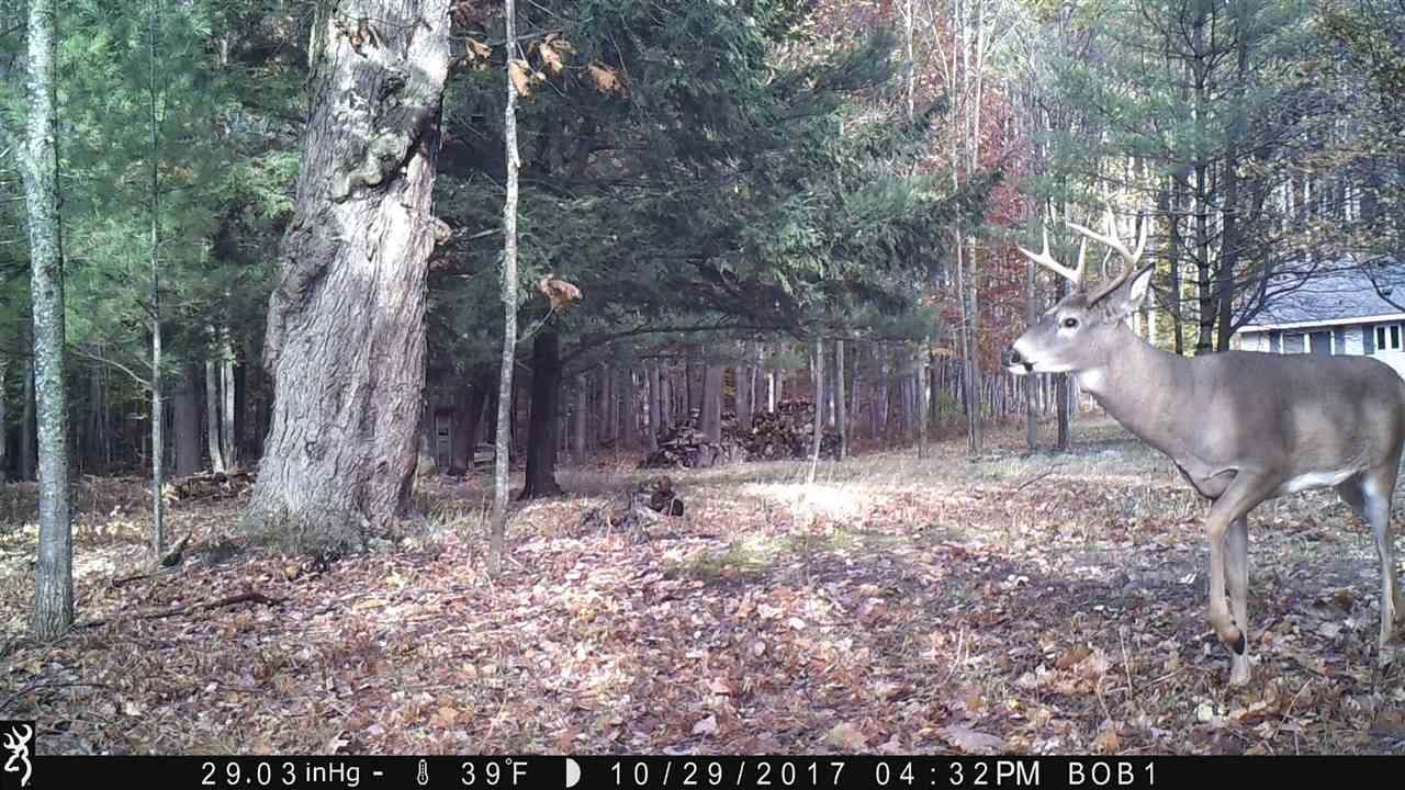 7600 Chapman Road Alden, MI 49612 - Photo 3 of 41 1859119-2.JPG