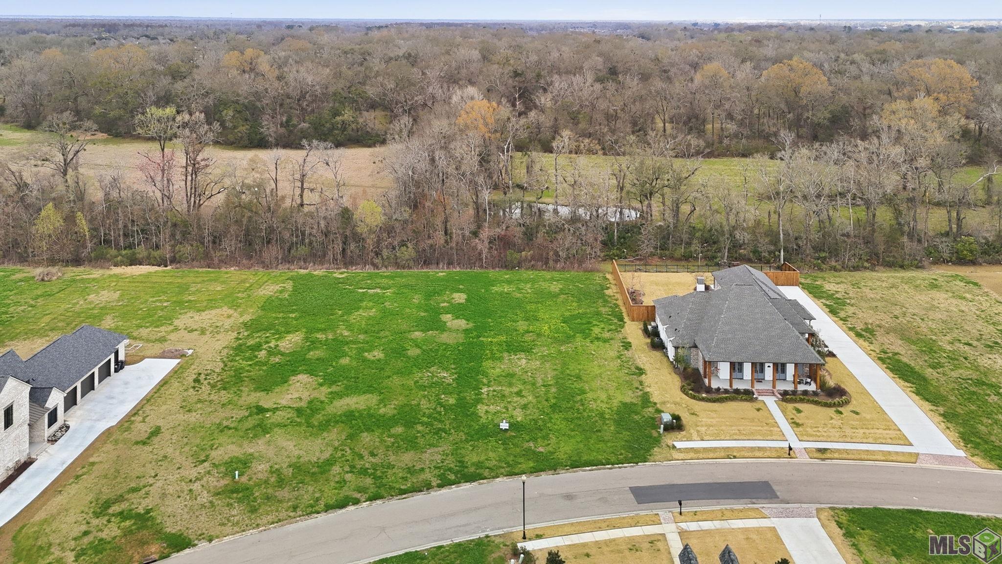 36162 Westin Ridge Drive Geismar, LA 70734 - Photo 2 of 9