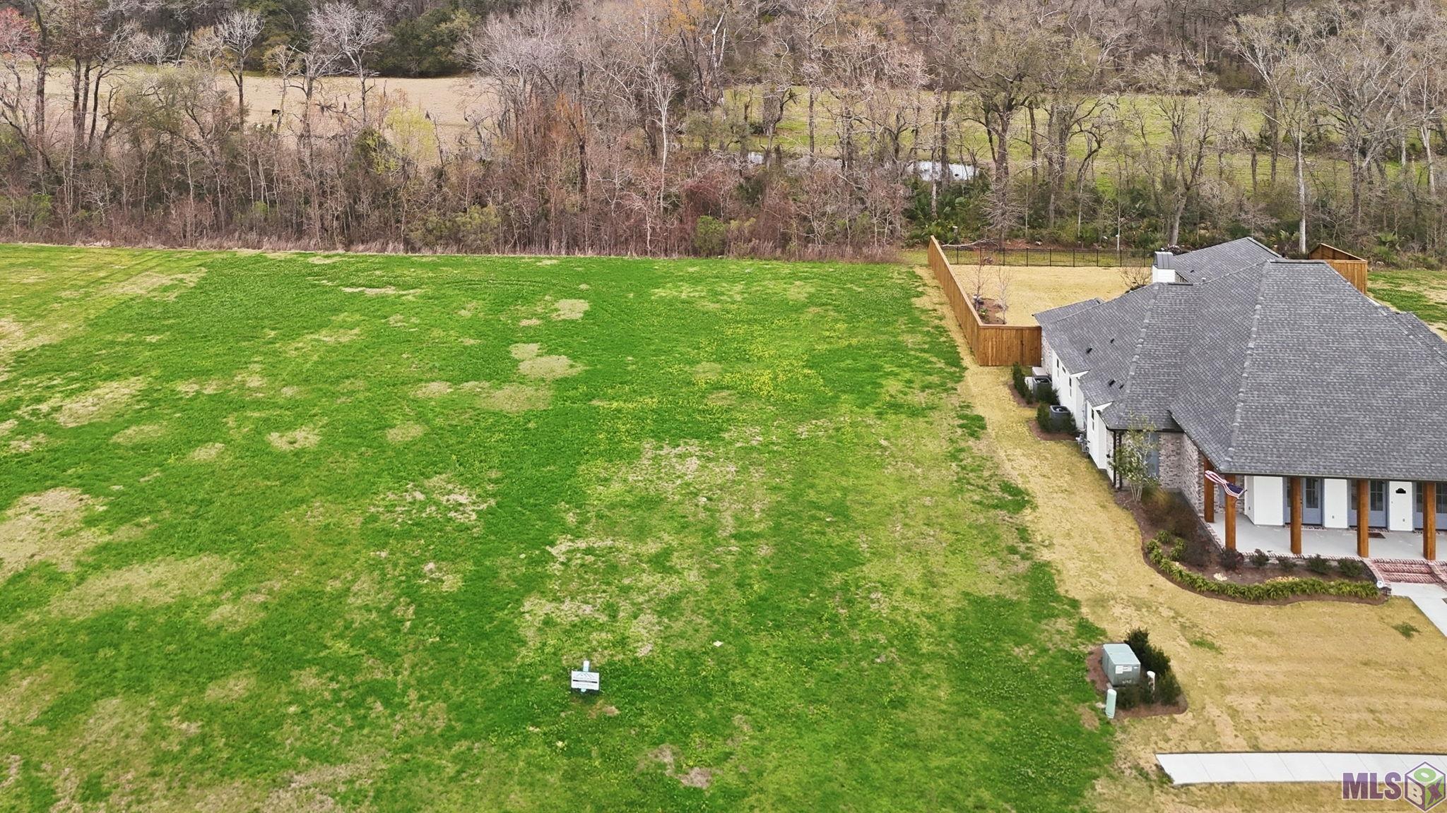 36162 Westin Ridge Drive Geismar, LA 70734 - Photo 3 of 9