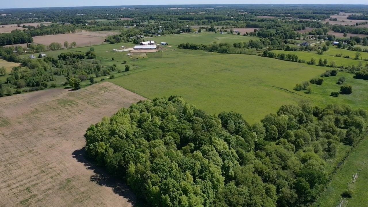 8680 Parks Road Ovid, MI 48866 - Photo 44 of 49