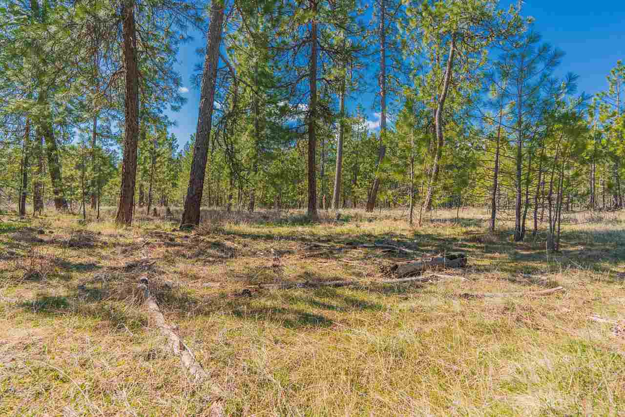 0 Wild Trax Way Springdale, WA 99173 - Photo 16 of 20 Gallery Image 16