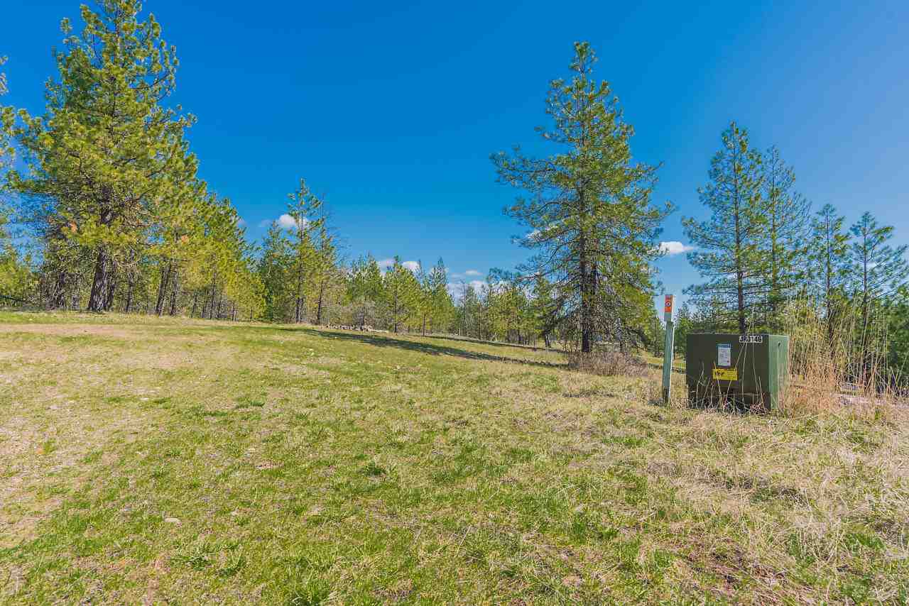 0 Wild Trax Way Springdale, WA 99173 - Photo 17 of 20 Gallery Image 17