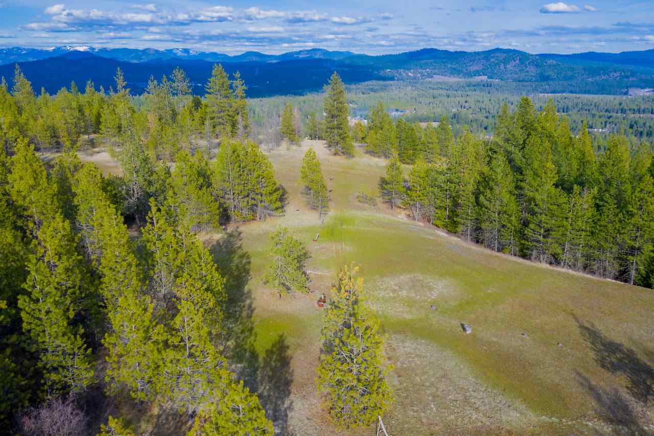 0 Wild Trax Way Springdale, WA 99173 - Photo 18 of 20 Gallery Image 18