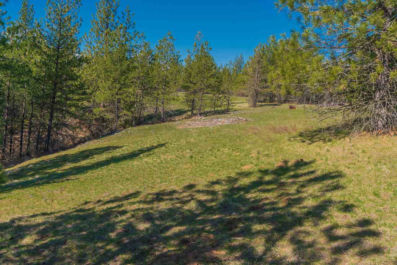 0 Wild Trax Way Springdale, WA 99173 - Photo 8 of 20 Gallery Image 8