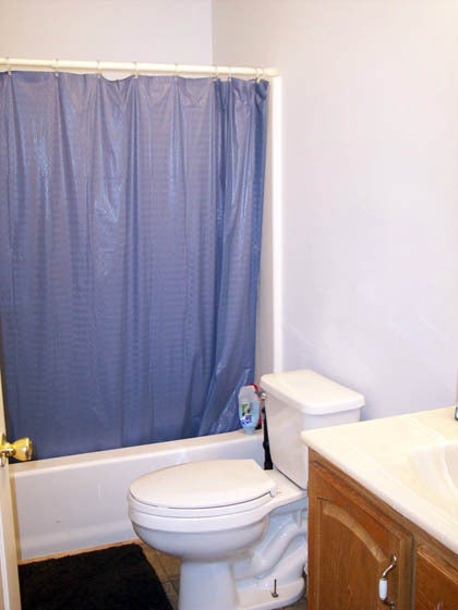 58 West Ridge Slatyfork, WV 26291 - Photo 25 of 28 apartment bath