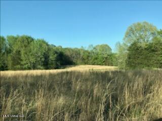 684 Baylor Road Senatobia, MS 38668 - Photo 1 of 9 HAMMOND HILLS ESTATES