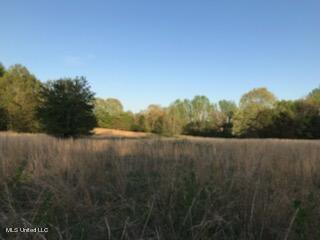 684 Baylor Road Senatobia, MS 38668 - Photo 7 of 9 HAMMOND HILLS ESTATES