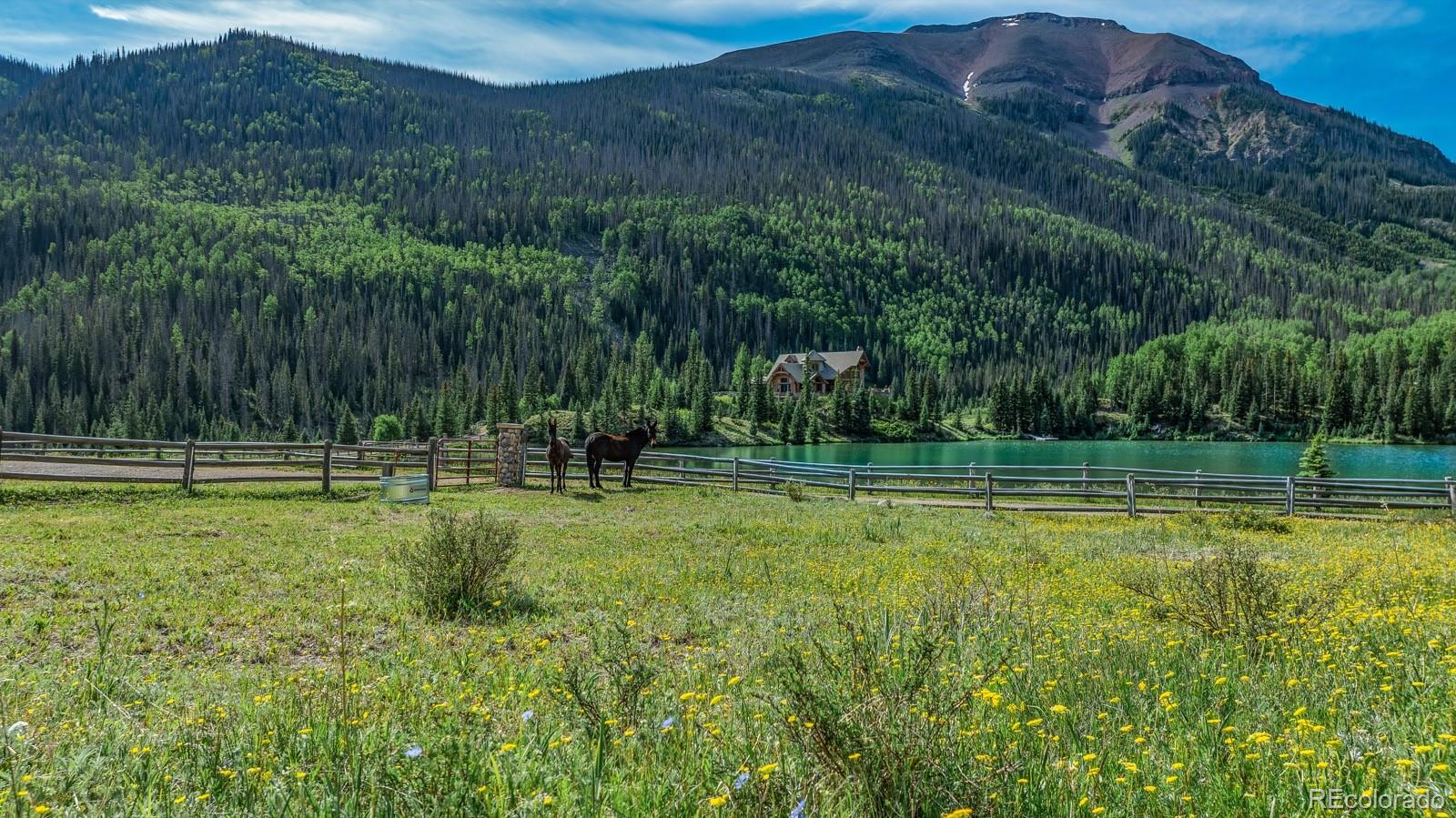 2418 Forest Road Creede, CO 81130 - Photo 41 of 50 a view of a backyard