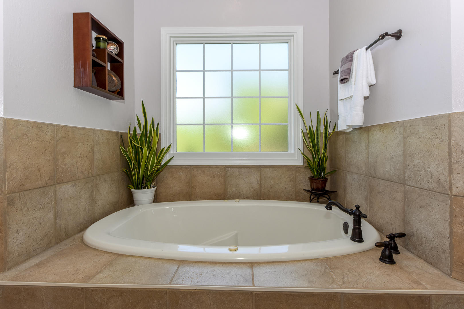 350 Windridge Road Friendsville, TN 37737 - Photo 21 of 40 Master Tub