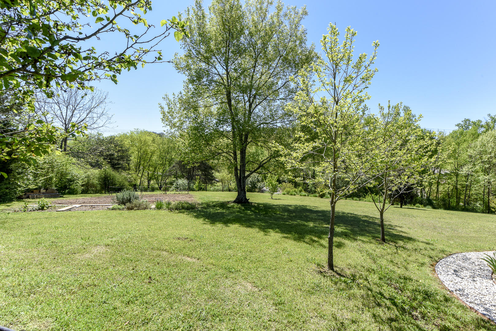 350 Windridge Road Friendsville, TN 37737 - Photo 35 of 40 Back Yard