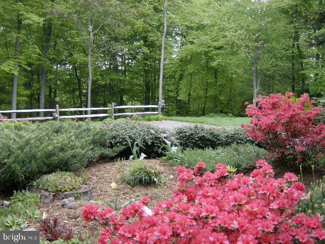 479 Noble Road Christiana, PA 17509 - Photo 4 of 17 Gallery Image 4