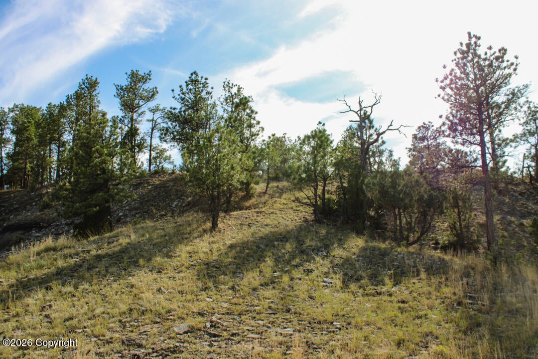 0 Skull Creek Road Osage, WY 82723 - Photo 37 of 51 Gallery Image 37