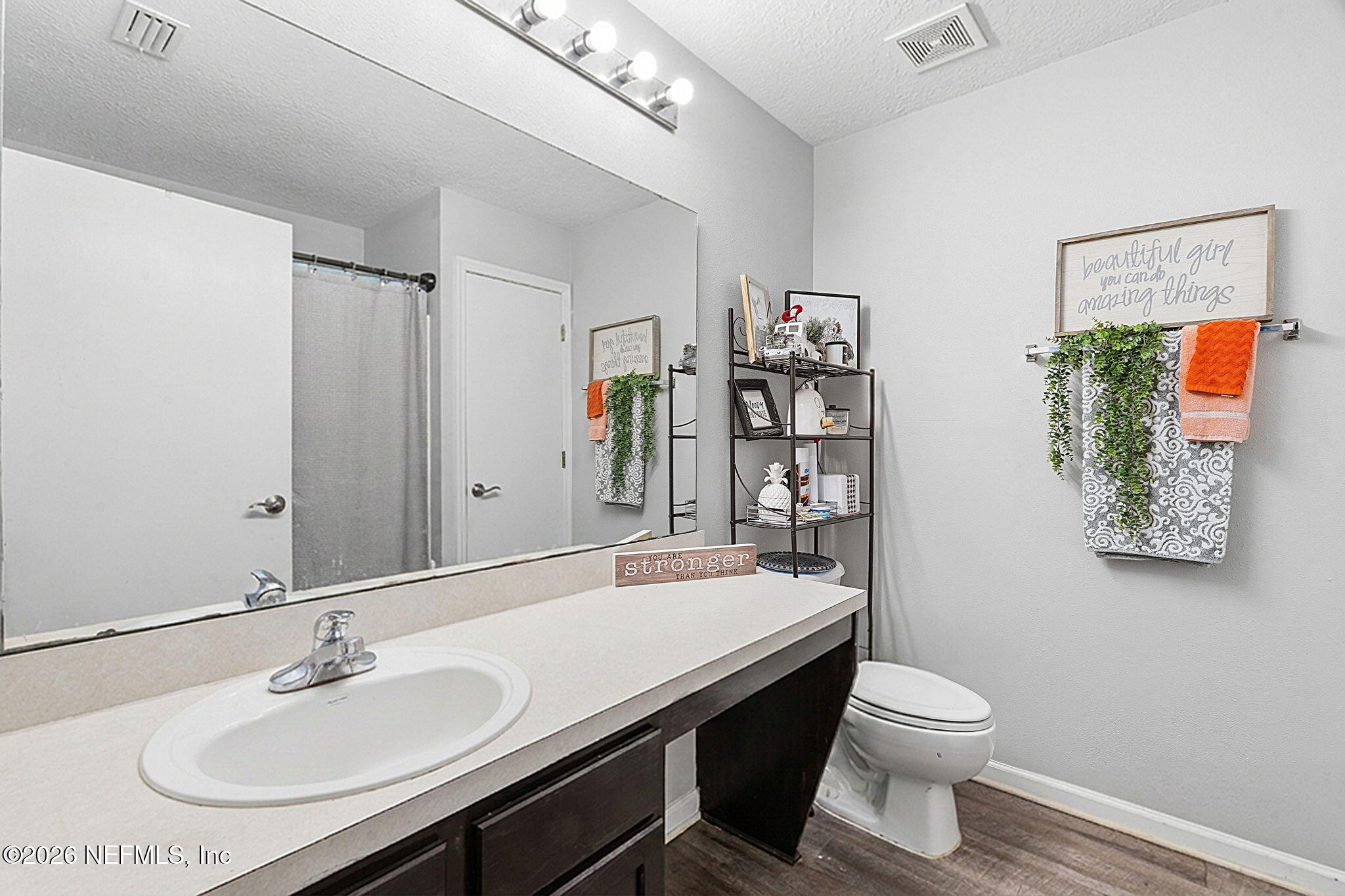 2393 Rusty Lakes Lane Jacksonville, FL 32221 - Photo 15 of 44 ISO_2393 Rusty Lake Ln_JAX_019