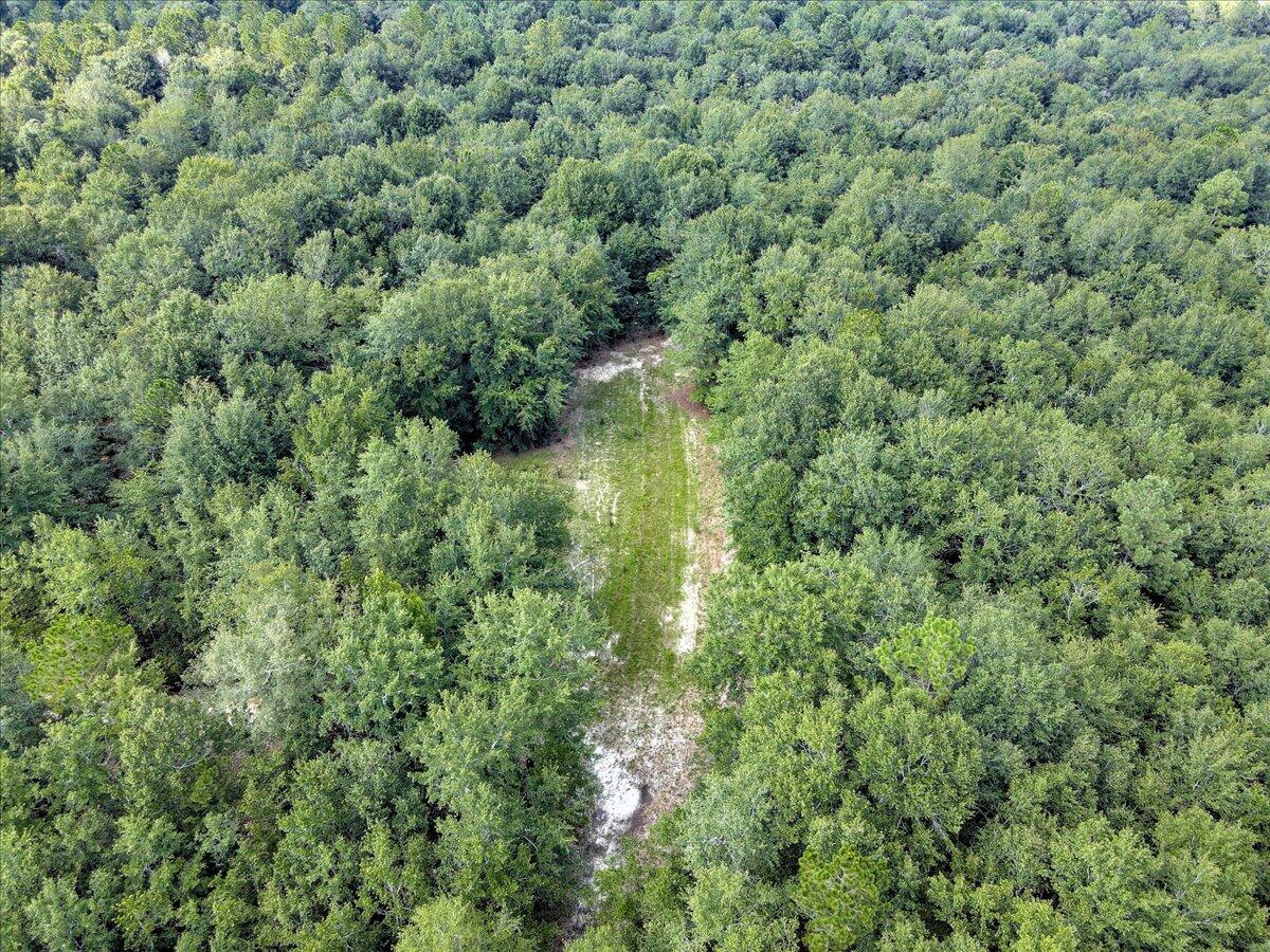 0 Millers Pond Road, Unit 4 Salley, SC 29137 - Photo 9 of 18