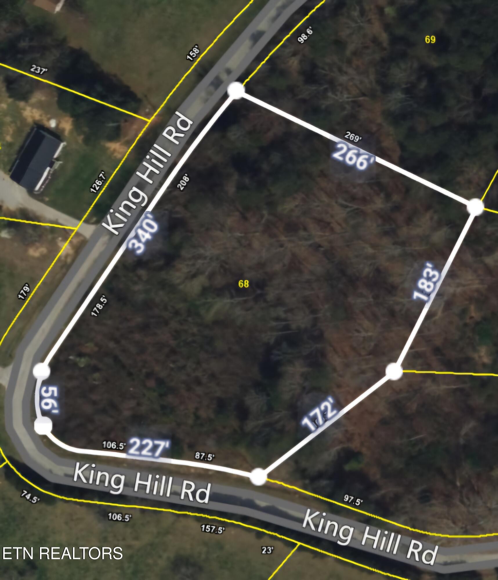 68 King Hill Rd Spring Spring City, TN 37381 - Photo 2 of 10
