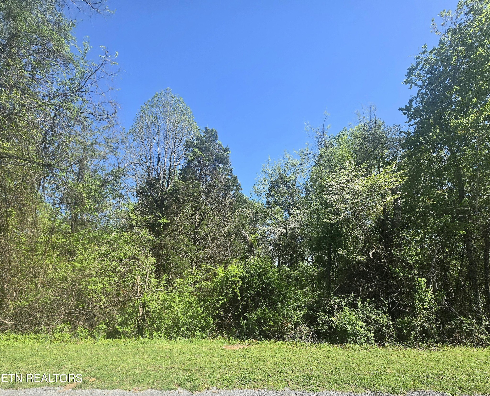 68 King Hill Rd Spring Spring City, TN 37381 - Photo 4 of 10 a view of a green field