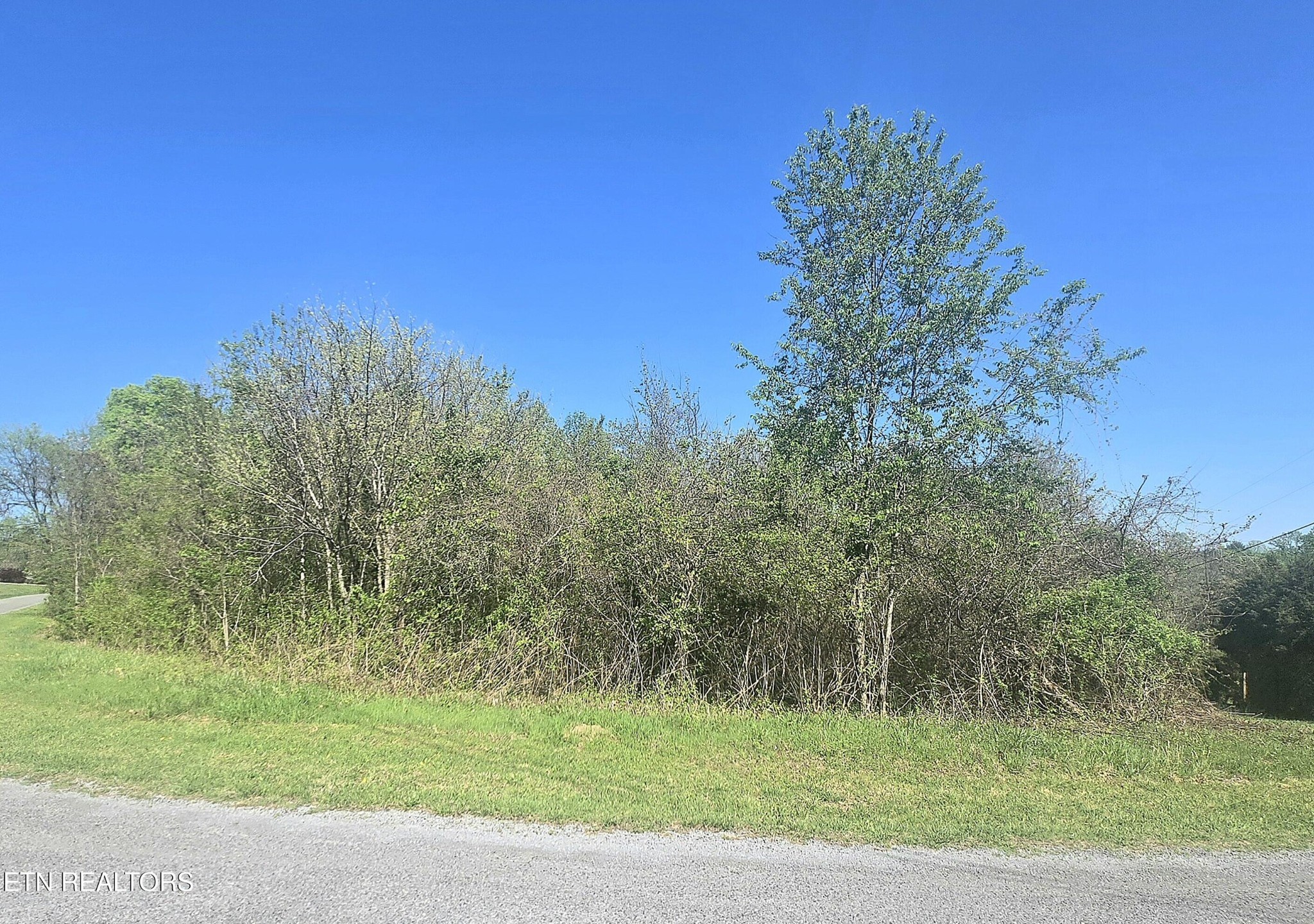 68 King Hill Rd Spring Spring City, TN 37381 - Photo 7 of 10 a view of a grassy field with trees in the background