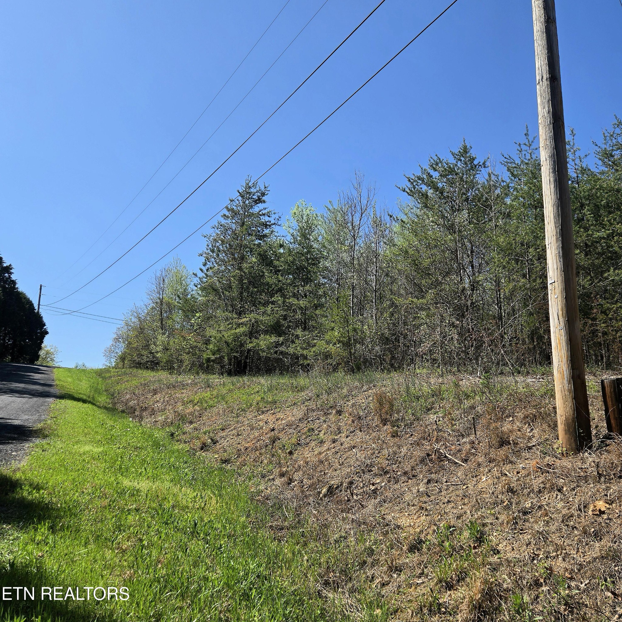 68 King Hill Rd Spring Spring City, TN 37381 - Photo 10 of 10 a view of a field with trees in the background