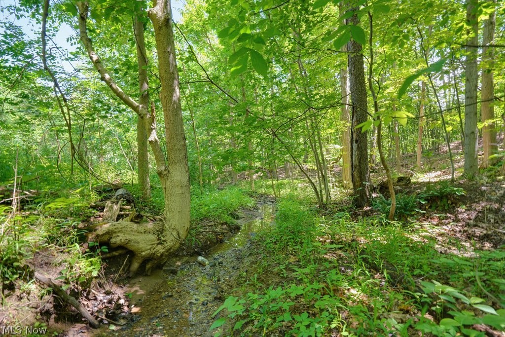 0 North Chillicothe Road Aurora, OH 44202 - Photo 22 of 36