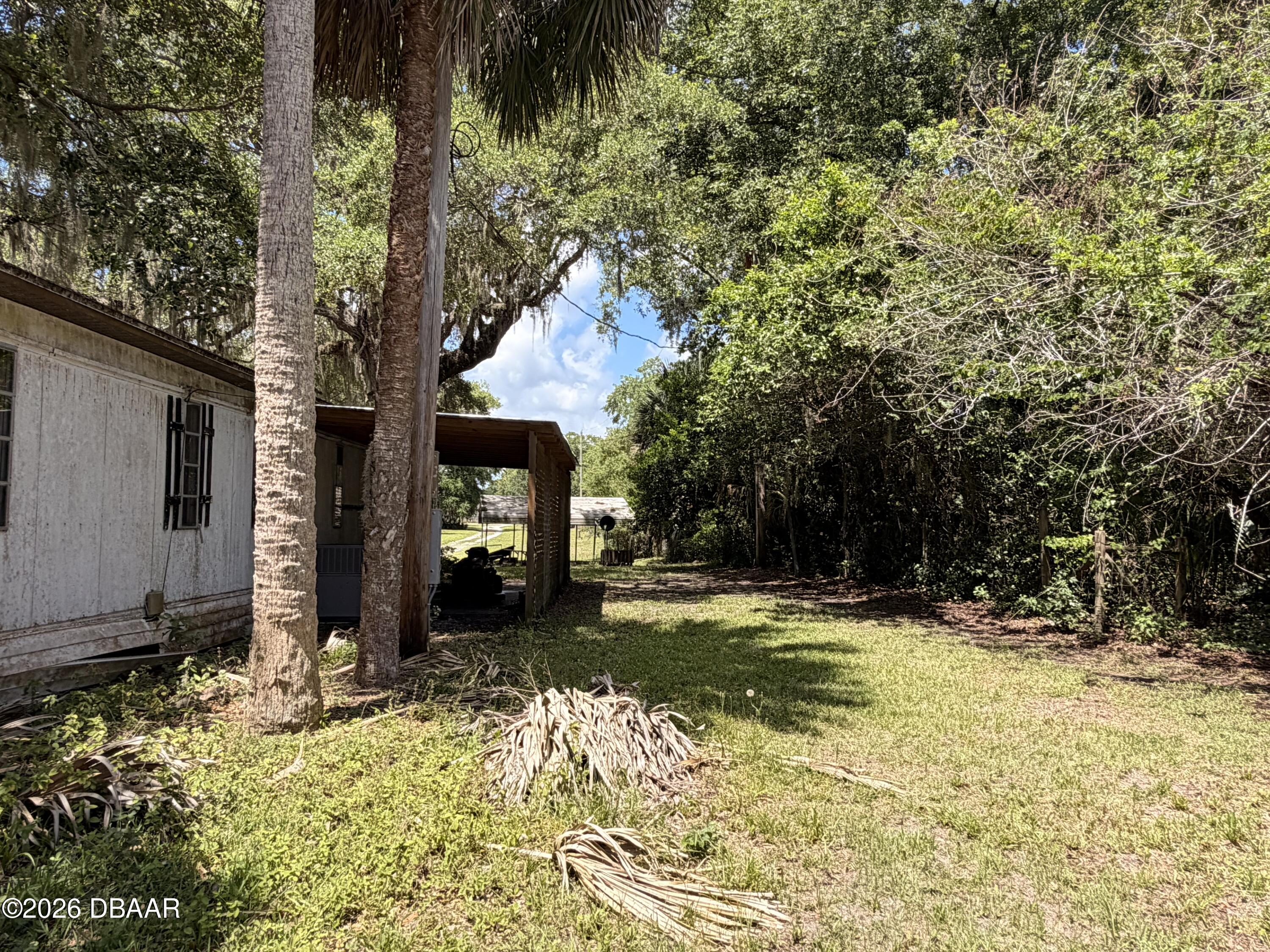 697 Eagle Watch Road Oak Hill, FL 32759 - Photo 10 of 15 IMG_0938