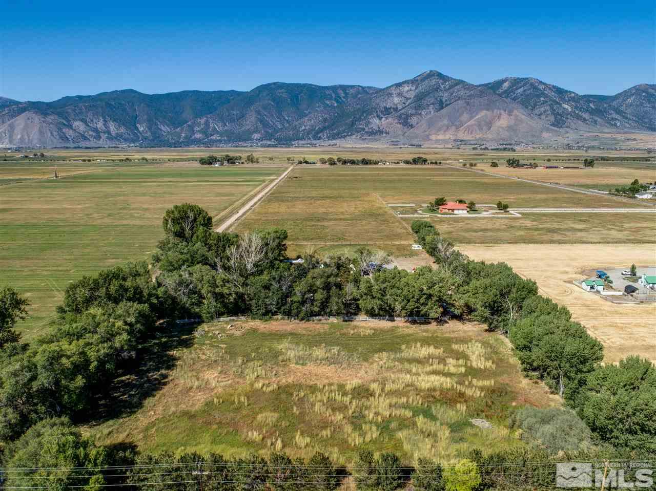 2572 Heybourne Road Minden, NV 89423 - Photo 4 of 22 Photo 4