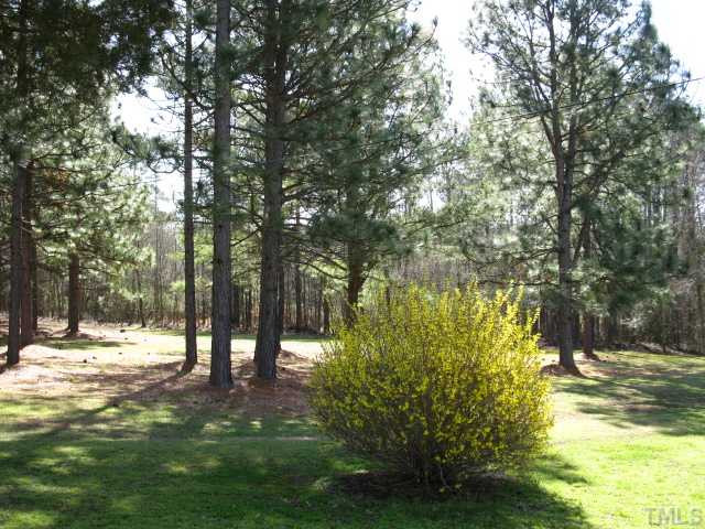 6516 Leesville Road Durham, NC 27703 - Photo 12 of 21 Land