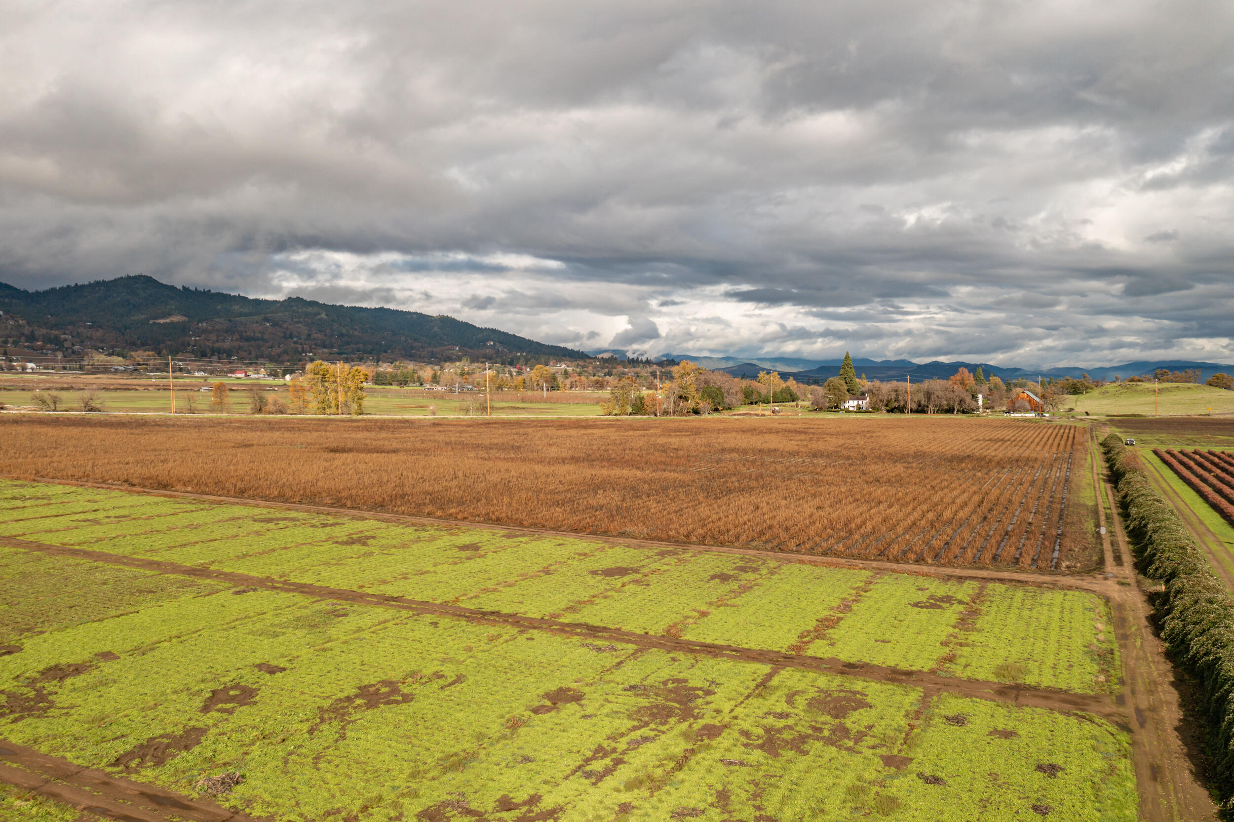 1052 Hanley Road Medford, OR 97501 - Photo 26 of 35 12