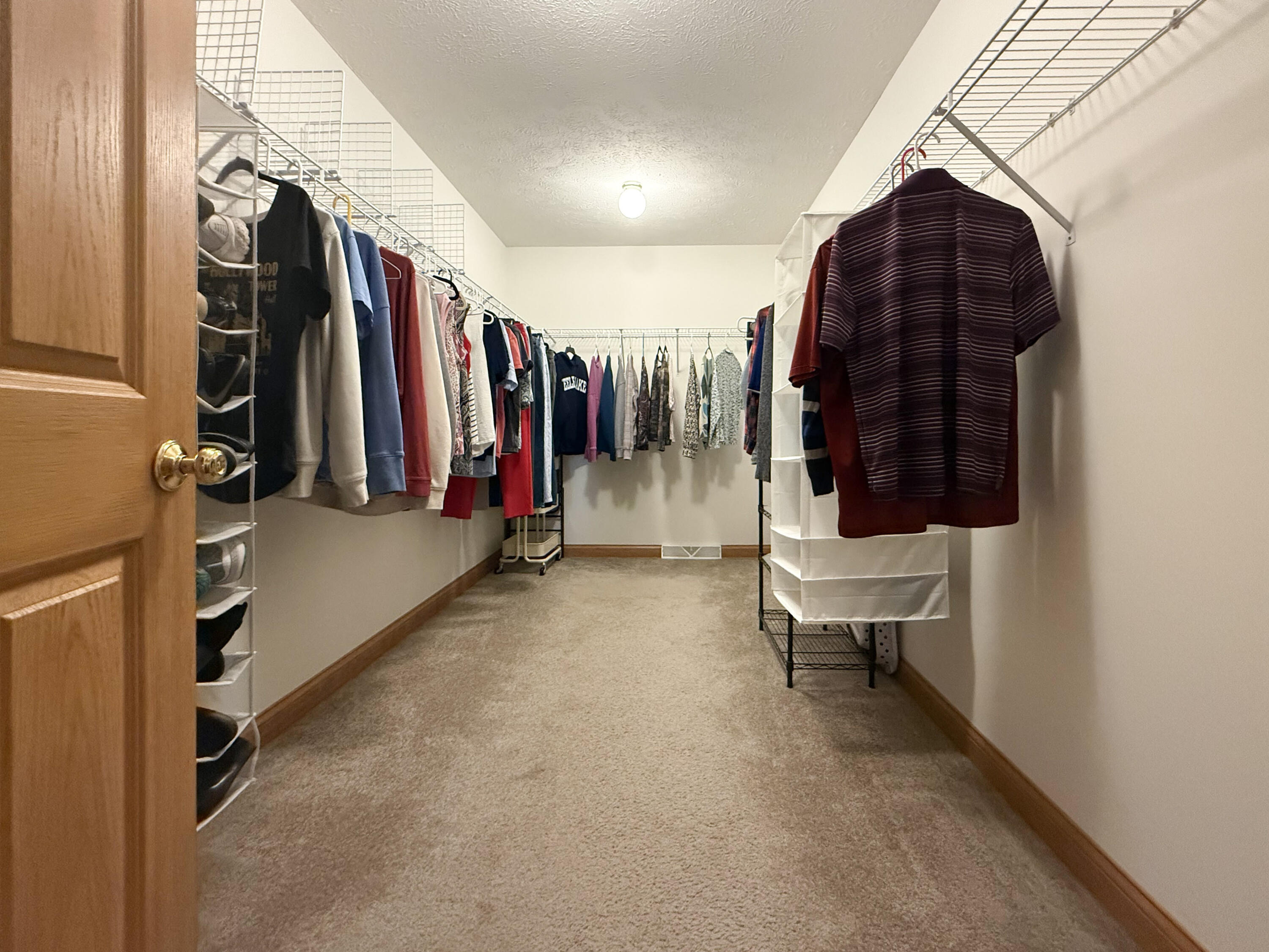 86640 60th Street Decatur, MI 49045 - Photo 22 of 60 PRIMARY WALK IN CLOSET