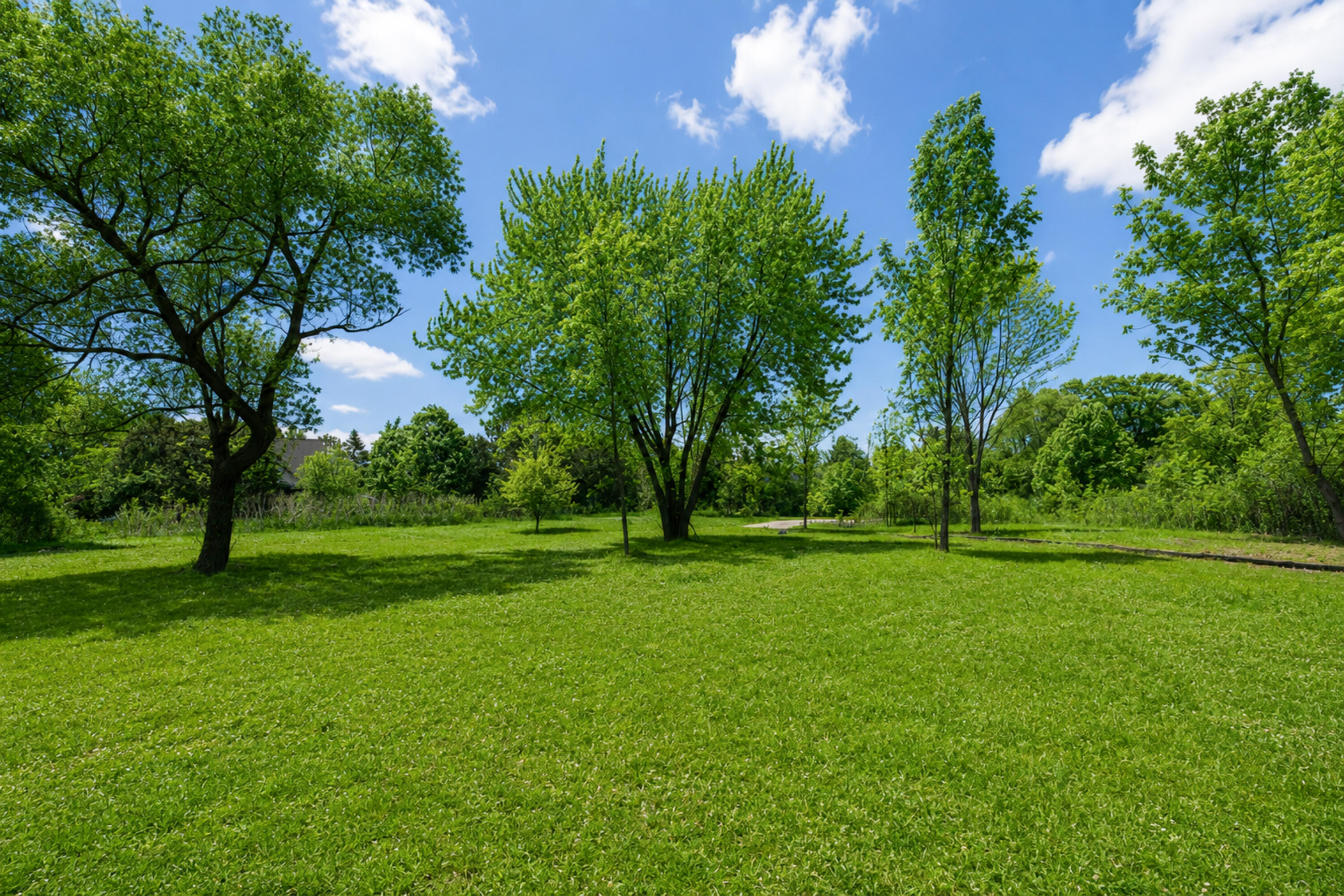 2516 Range Line Terrace Mequon, WI 53092 - Photo 3 of 12 Wooded