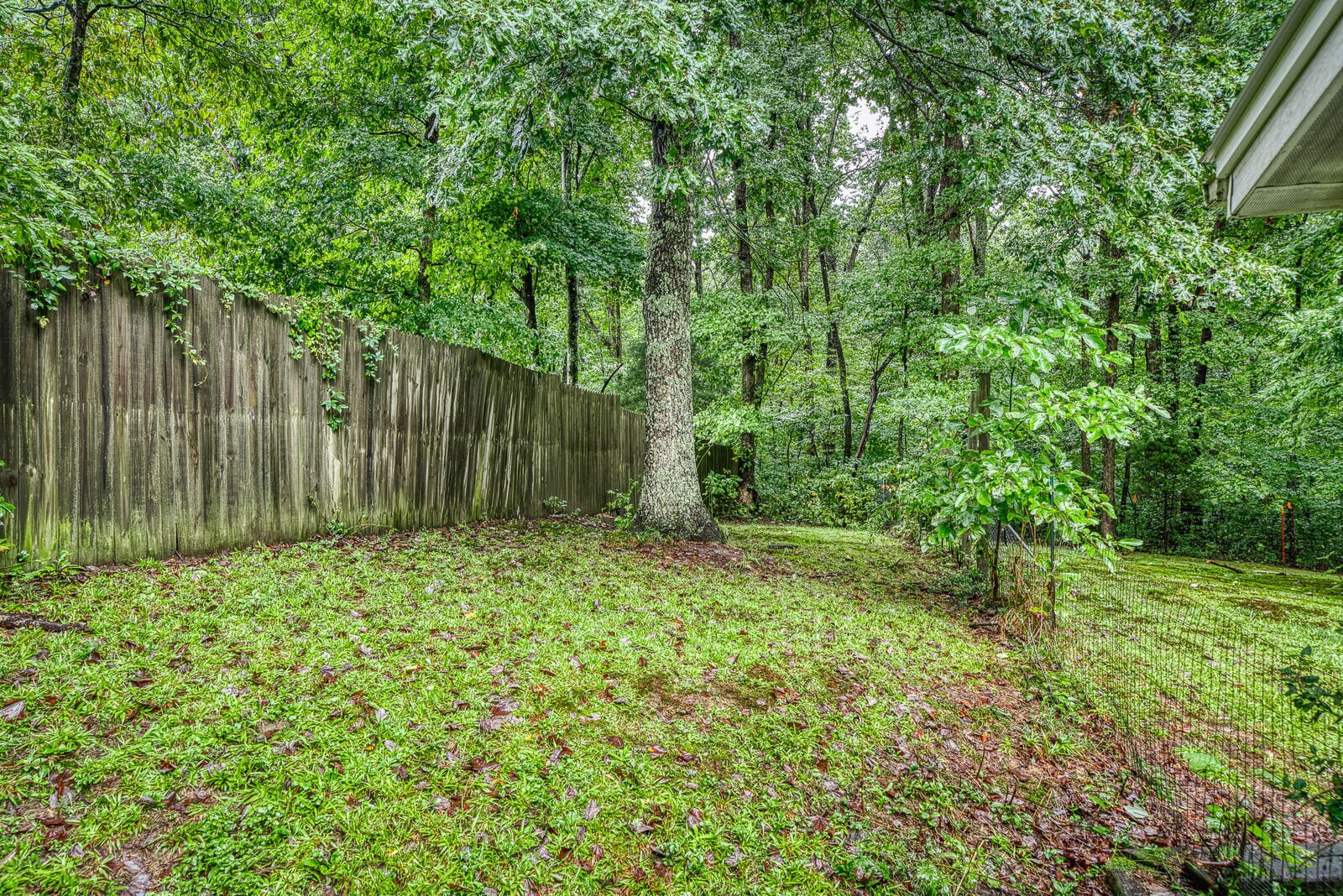 135 Joe Voiles Road Jamestown, TN 38556 - Photo 6 of 36 Gallery Image 6