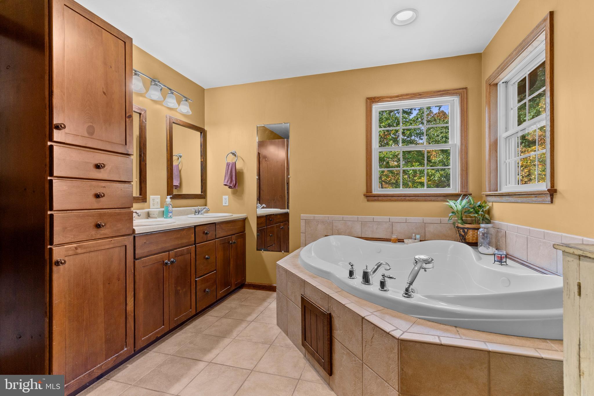 14731 Shimpstown Road Mercersburg, PA 17236 - Photo 24 of 52 a bathroom with a tub sink and mirror