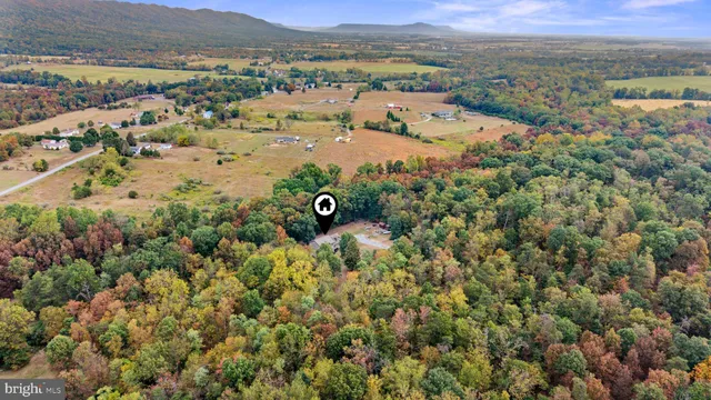 a view of a forest with a mountain and trees in the background