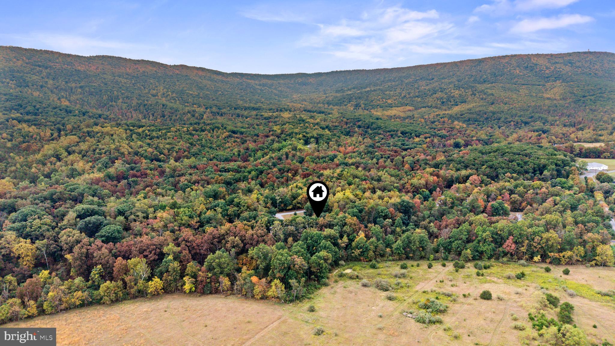 14731 Shimpstown Road Mercersburg, PA 17236 - Photo 46 of 52 a view of a forest with a mountain and trees in the background