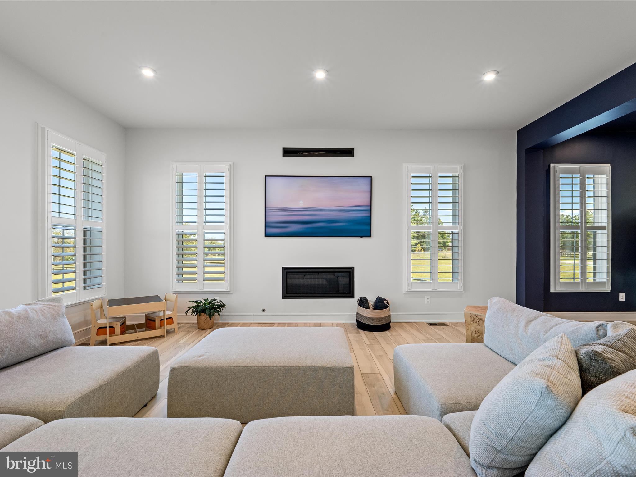 38906 Rumely Way Waterford, VA 20197 - Photo 24 of 99 a living room with furniture windows and a fireplace