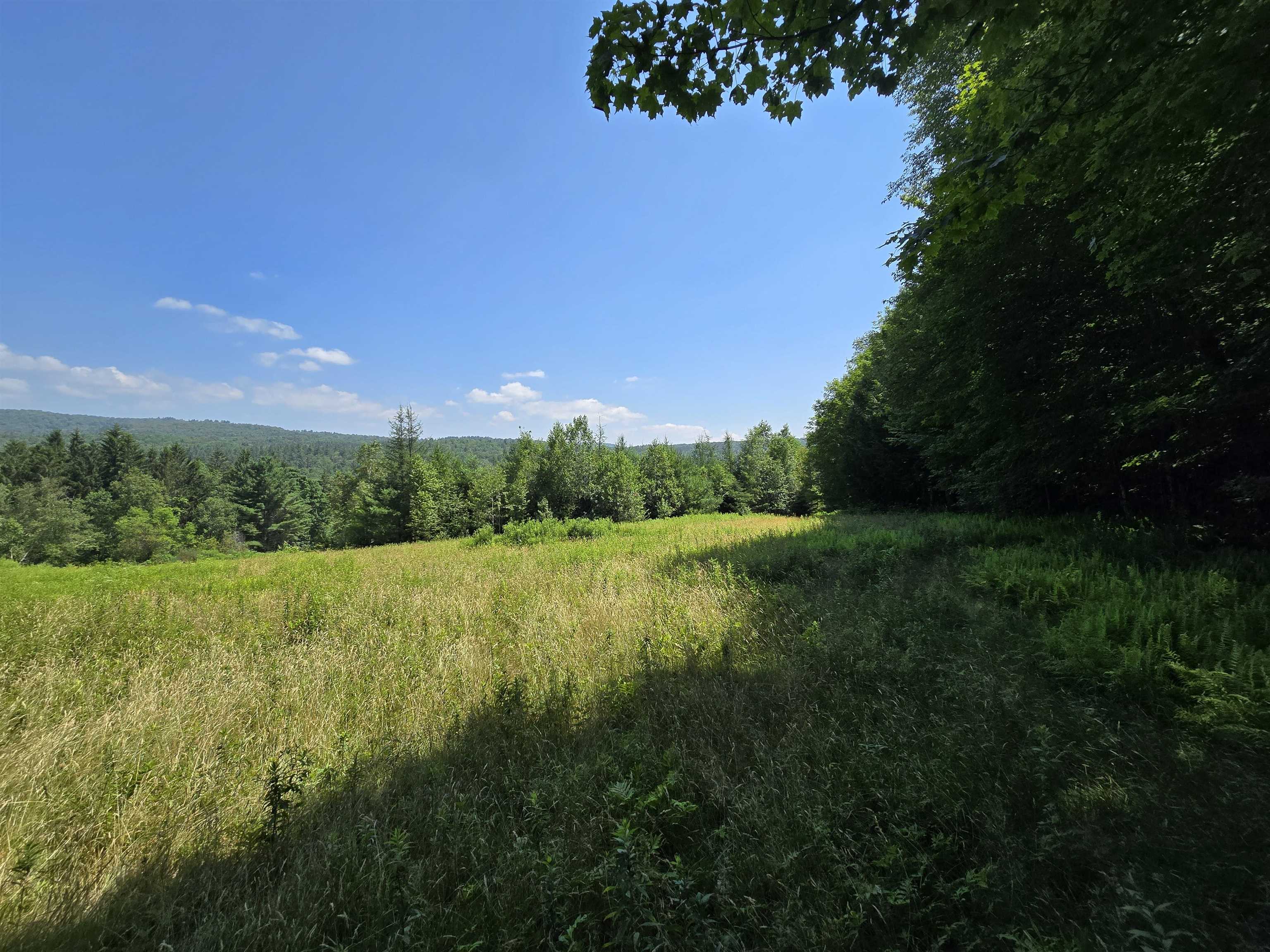 3394 Highway 155 Mount Holly, VT 05730 - Photo 30 of 45