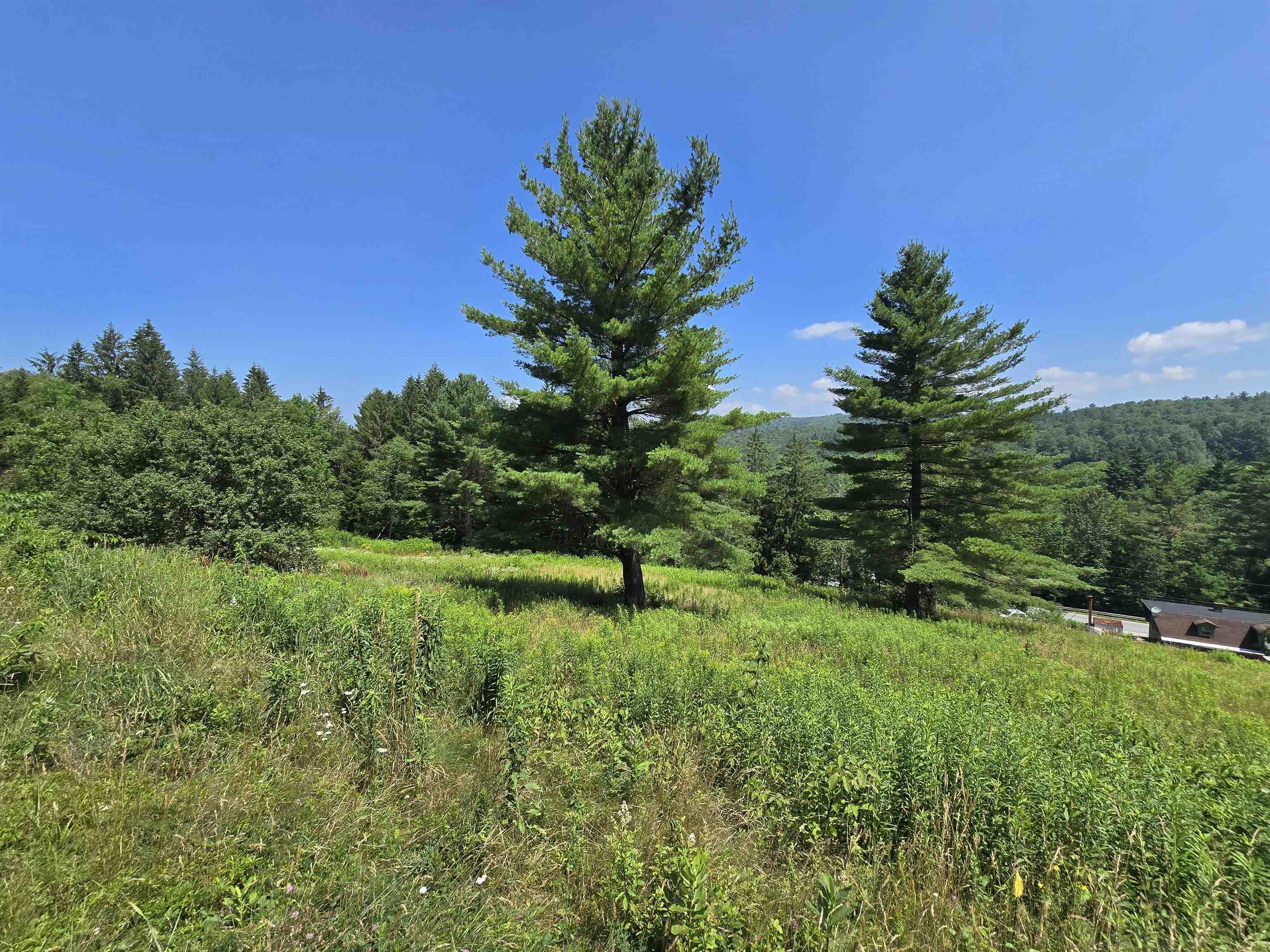 3394 Highway 155 Mount Holly, VT 05730 - Photo 34 of 45