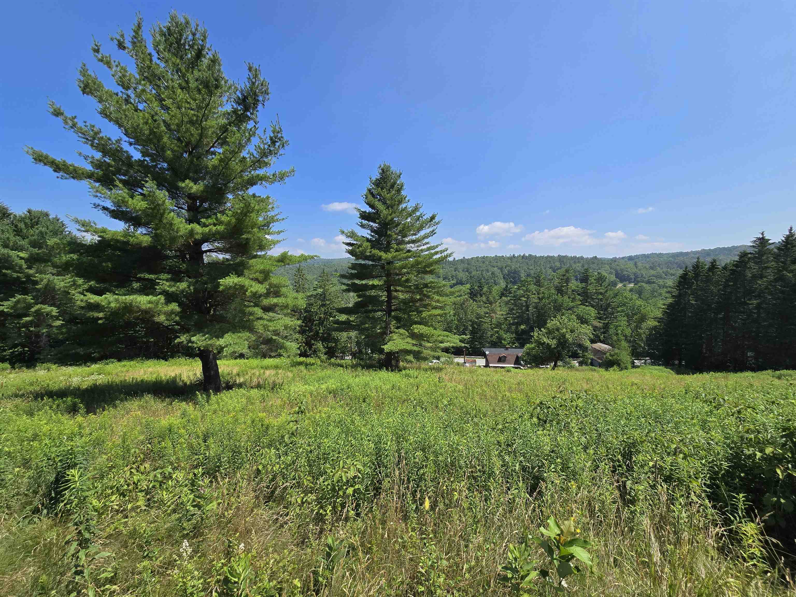 3394 Highway 155 Mount Holly, VT 05730 - Photo 35 of 45