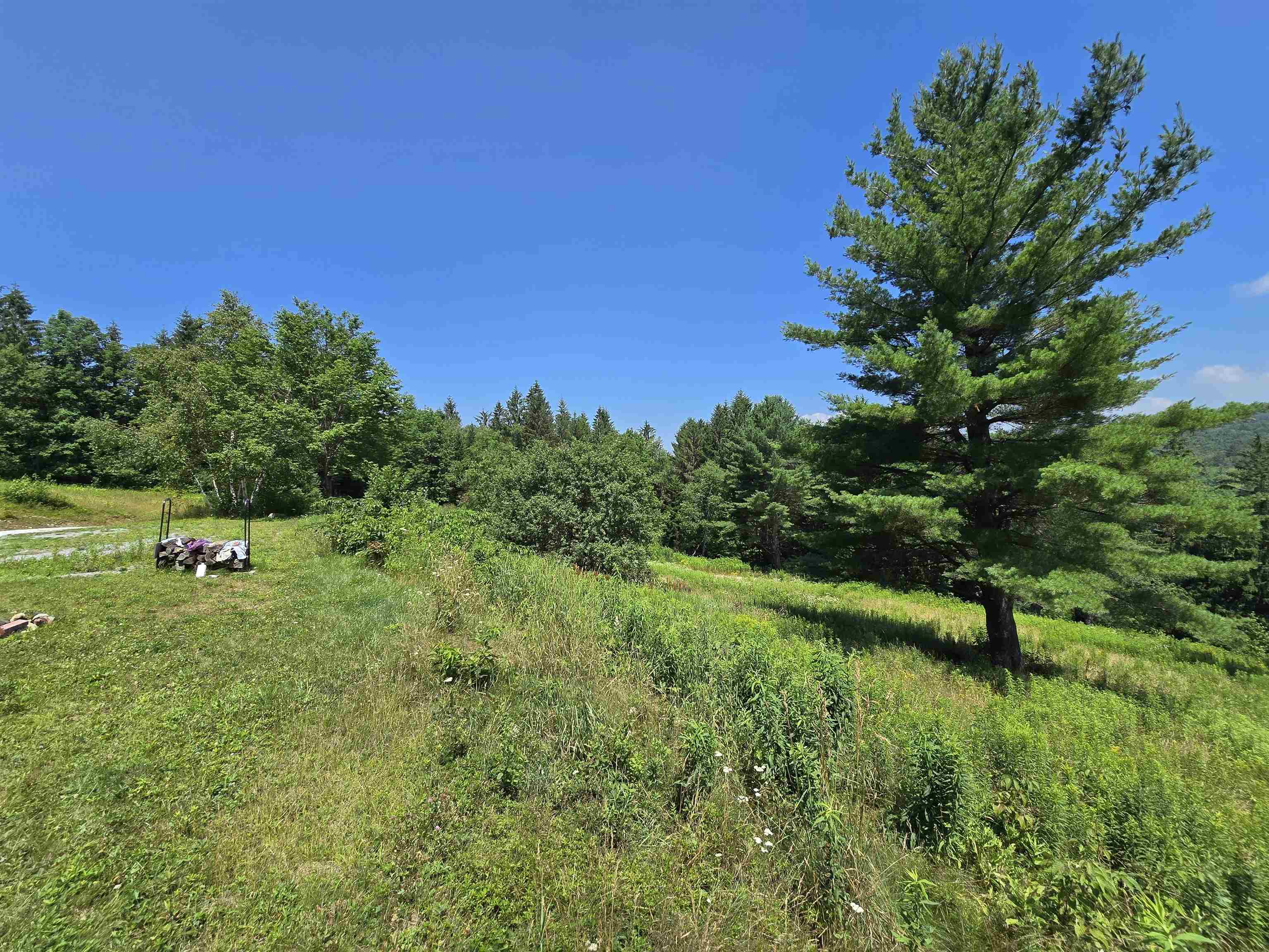 3394 Highway 155 Mount Holly, VT 05730 - Photo 36 of 45